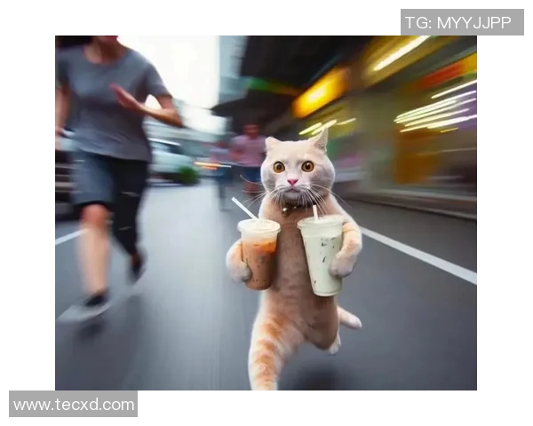 足球明星与猫咪的缘分谁是养猫最多的球场巨星