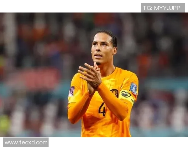 荷兰足球明星范迪克的辉煌历程与对球队的深远影响