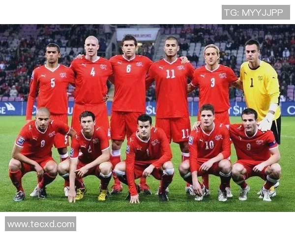 足球明星球员效力球队的辉煌历程与成就分析