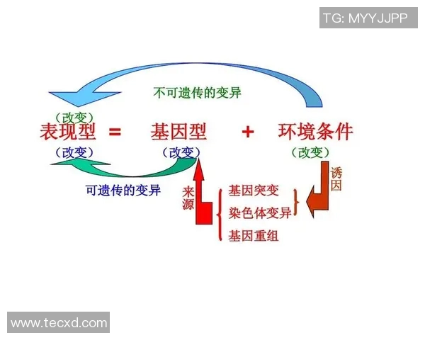 足球明星儿子成长对比图揭示遗传基因与运动天赋的奇妙关系