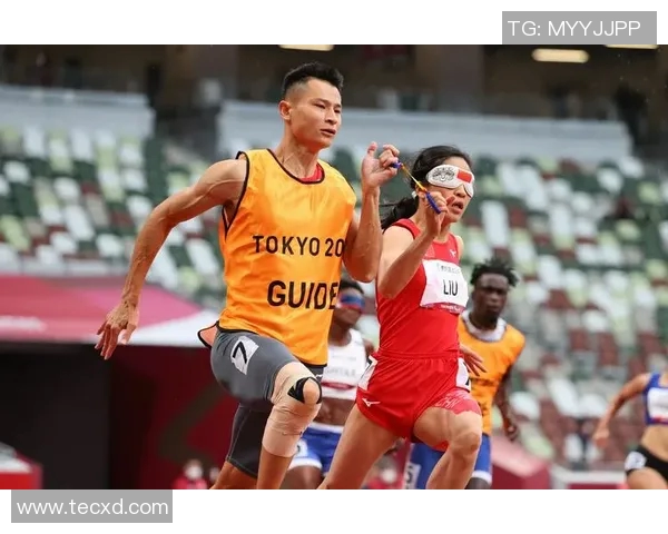 洛城银与多伦多的巅峰对决谁能在赛场上书写新的传奇